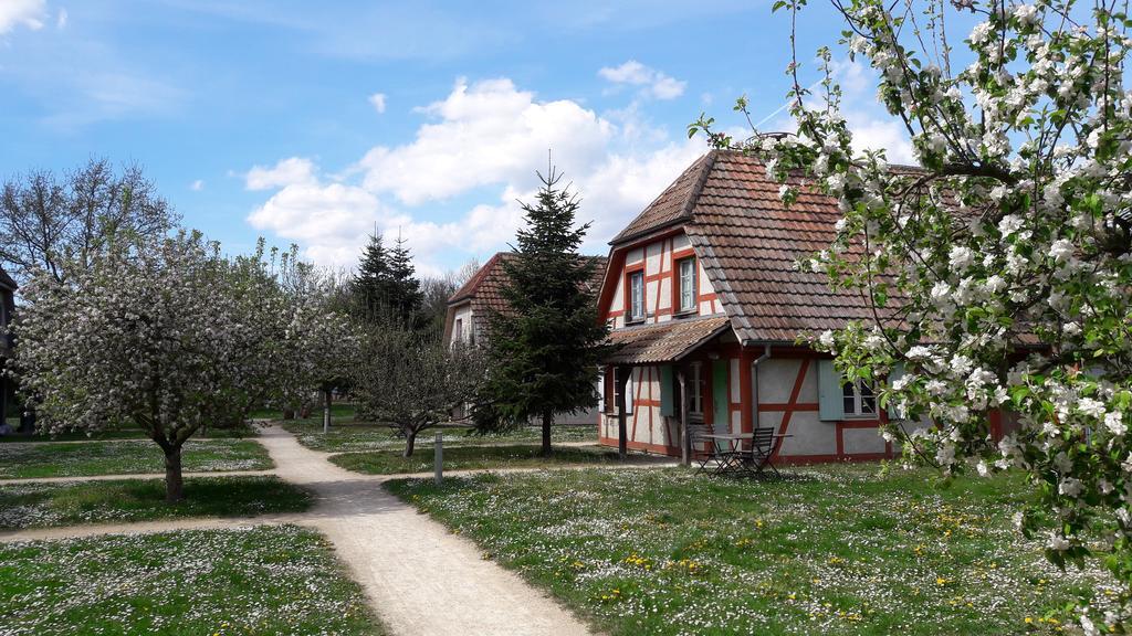 Les Loges De L'Ecomusee D'Alsace Юнгерсайм Экстерьер фото