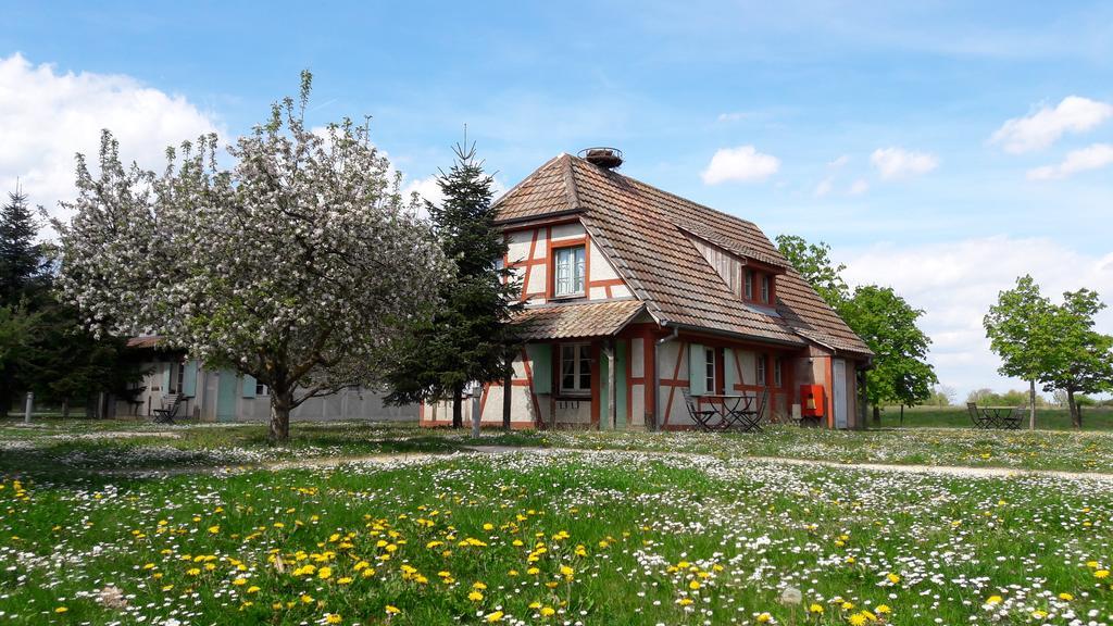 Les Loges De L'Ecomusee D'Alsace Юнгерсайм Экстерьер фото